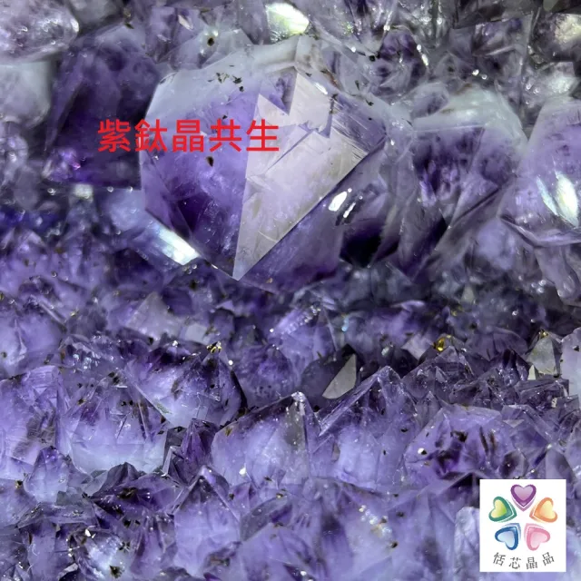【恬芯晶品】巴西28.85KG大牙紫鈦晶洞新居財位擺設KA32(紫水晶洞開運水晶洞招財招貴人新居開業紫晶洞新春)