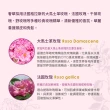 【Jollyard 潔麗雅】Vintage Rose 古典玫瑰魅麗潤護髮霜 210g(染燙、受損髮適用)