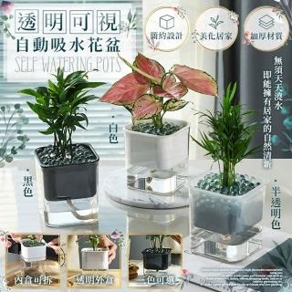 【JOHN HOUSE】透明可視自動吸水花盆 無須天天澆水 雙層盆栽 水培花盆 創意花盆植栽(花盆)