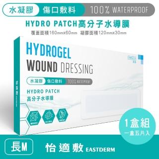 【EASTDERM 怡適敷】水凝膠傷口敷料-5片入黏貼範圍160mm x 60mm(1盒入-M長)