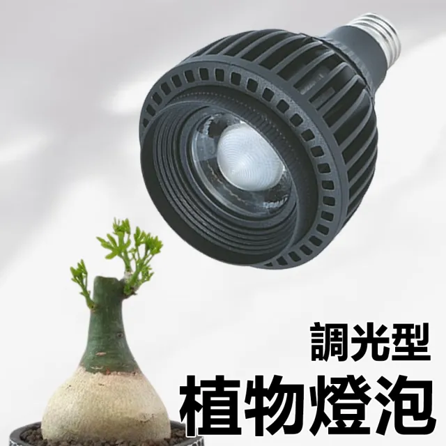 【君沛】植物燈 20瓦 調光型 全光譜 植物燈泡(塊根植物 植物生長燈)