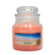 【YANKEE CANDLE】香氛蠟燭 104g-仲夏之夜/夜半茉莉/裁剪玫瑰/盛開茶花 等多款任選(國際航空版)