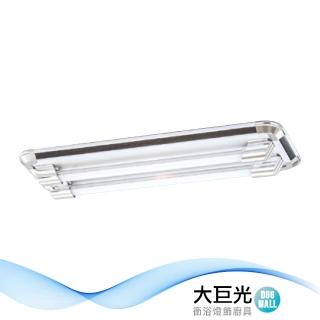 【大巨光】典雅風-LED T8 2尺x2 日光燈 T8燈管 LED(LW-11-4947)