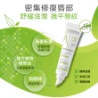 【A-DERMA 艾芙美官方直營】全效保護護唇霜2入組(護唇膏/唇膜)