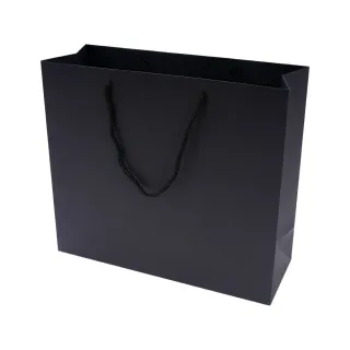 【TRENY】經典黑禮物手提袋-橫款中10入