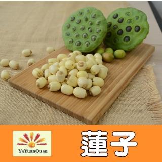 【亞源泉】蓮子 300g/包 5包組(蓮子)