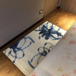 【Fuwaly】德國Esprit home 落英地毯-80x150cm-ESP8026-01(花朵 現代 床邊地毯 起居室 書房)