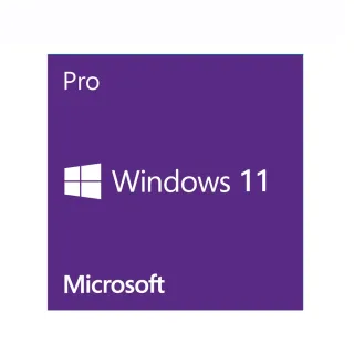 【Microsoft 微軟】Windows 11 專業隨機版 64位元中文版{含安裝}