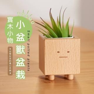 【TIDY HOUSE】[臺灣設計 快速出貨]小盆獸盆栽(造型花器 室內小盆栽)