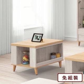 【AS 雅司設計】威利斯小茶几-60×60×48cm