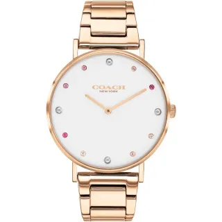 【COACH】官方授權經銷商 晶采魅力時尚手錶-36mm 母親節 禮物(14503938)