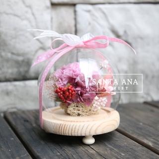 【Santa Ana】永生康乃馨與乾燥花組合(永生康乃馨玻璃鐘罩)