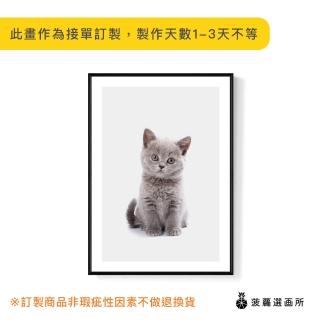 【菠蘿選畫所】喵寶寶 正面-70x100cm(可愛萌感貓咪掛畫/兒童房裝飾/寵物掛畫/家居擺設)