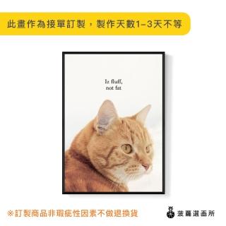 【菠蘿選畫所】大胖橘貓 - 42x60cm(療癒小貓咪字母掛畫/搞笑/家居佈置/北歐極簡風/兒童房/幼兒園佈置)