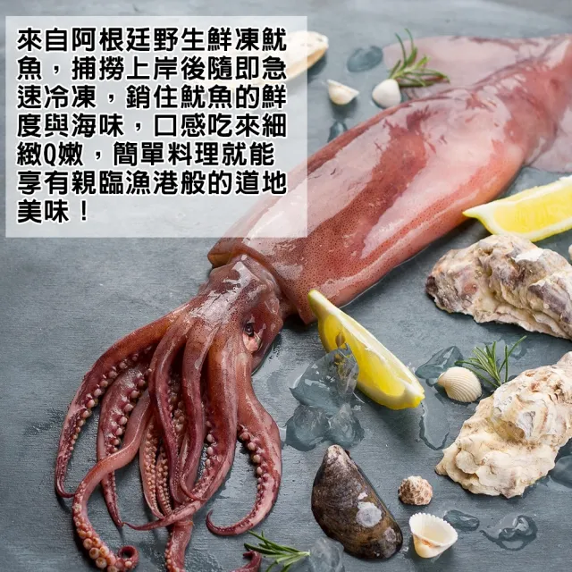 【三頓飯】嚴選阿根廷野生鮮凍魷魚6包組(共12尾_2尾/260-340g/包)