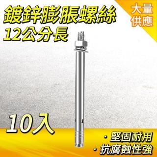 【大匠工具】12公分不鏽鋼膨脹螺絲 10入 壁虎螺絲 水泥牆膨脹螺絲 SUSM8120-F(壁虎 麻根塞 水泥螺絲)