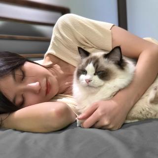 【Fuwaly】舒芙蕾防防水雙人加大床包枕套三件組6尺(防水 防 雙人 床包 枕套 保潔墊 素色寢具 過敏)