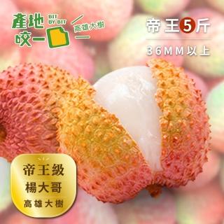 【Bit By Bit 產地咬一口】帝王級高雄大樹玉荷包5斤2箱組(1斤約17-20顆 每顆3.6cm以上)
