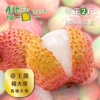 【Bit By Bit 產地咬一口】帝王級高雄大樹玉荷包2斤(每箱1斤約17-20顆共2箱 每顆3.6cm以上)