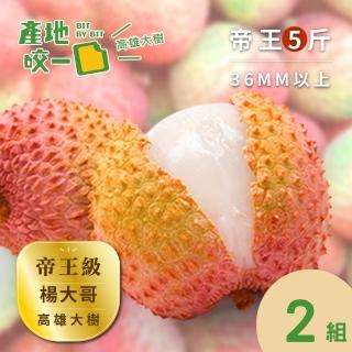 【Bit By Bit 產地咬一口】帝王級高雄大樹玉荷包5斤(每箱1斤約17-20顆共10箱 每顆3.6cm以上)