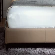 【FL 滿屋生活】FL Olof 布朗 - 5尺皮革床座(實木床架/床底座/皮款床架/人氣款/標準雙人/5x6.2尺)