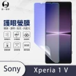 【o-one護眼螢膜】Sony Xperia 1 V 滿版抗藍光手機螢幕保護貼