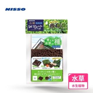 【NISSO 尼索】珍珠草培養石片(前景草 南美草 天然水草 莫絲)