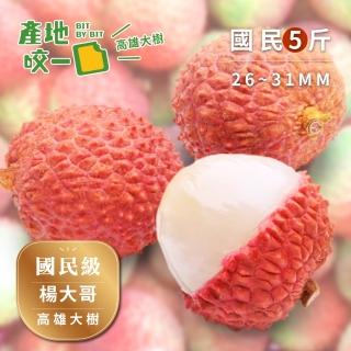 【Bit By Bit 產地咬一口】國民級高雄大樹玉荷包5斤(每箱1斤約38-42顆共5箱 每顆26-31mm)