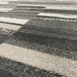 【山德力】馬賽克地毯200x290詩雅(灰黑色)
