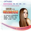 【枸杞家園】義大利原裝進口 Oyster 歐絲特 專業護髮霜2入組(超大容量500ml 潤絲、鎖色、護髮)
