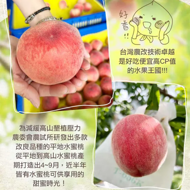 【享吃鮮果】台灣鮮採水蜜桃1箱(10入裝/1kg±10%/箱)