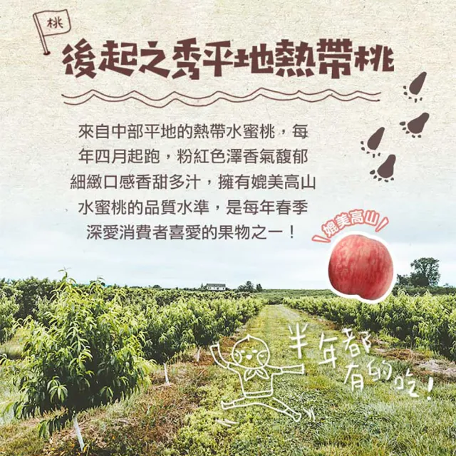 【享吃鮮果】台灣鮮採水蜜桃10入x1箱(1kg±10%/箱)