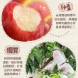 【享吃鮮果】台灣鮮採水蜜桃6入x2箱(1kg±10%/箱)