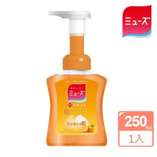 【MUSE】按壓式泡泡洗手液 果香 250ml(日本原裝進口)