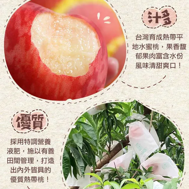 【享吃鮮果】台灣鮮採水蜜桃10入x2箱(1kg±10%/箱)