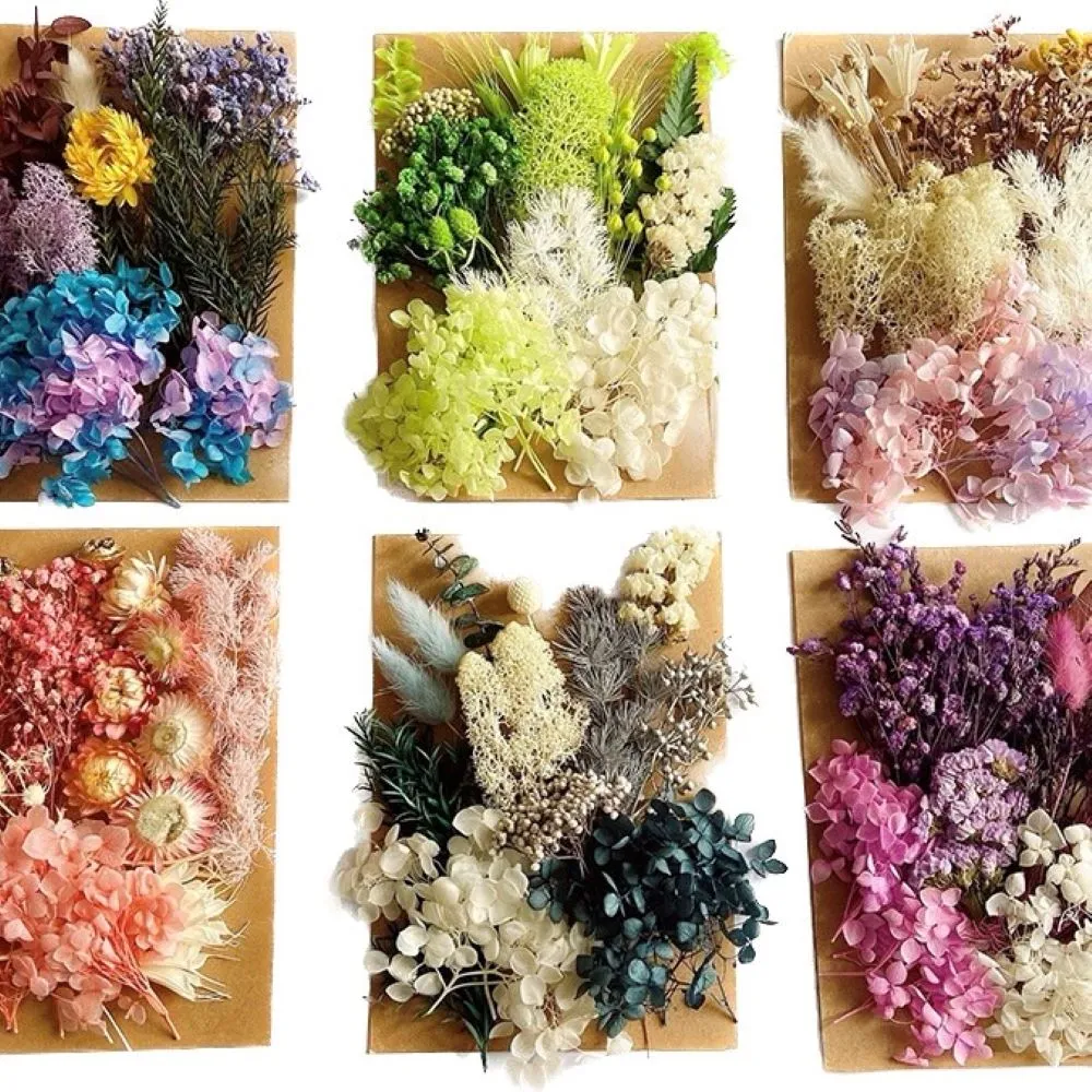 【BJ SHOP】乾燥花 量販包 浮游花 蠟燭 花藝材料包 蠟燭 乾花 居家裝飾(乾燥花  永生花)