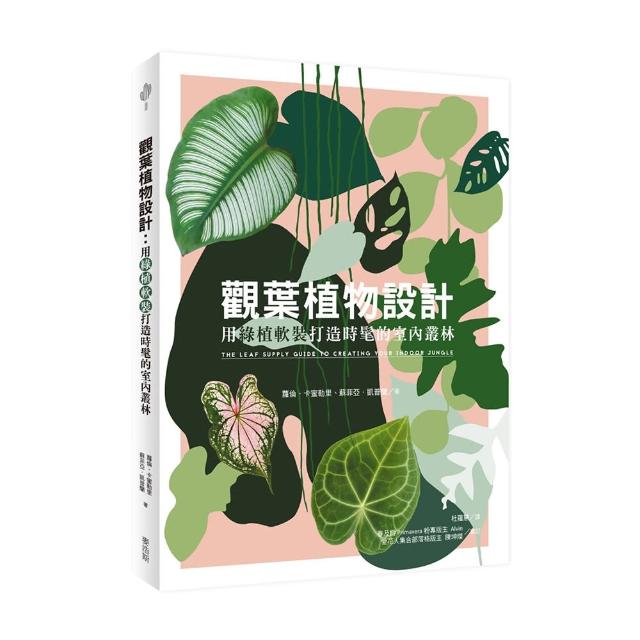 觀葉植物設計：用綠植軟裝打造時髦的室內叢林