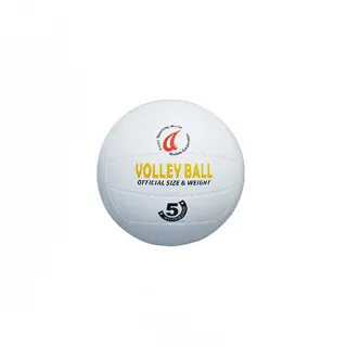 【SUCCESS 成功】5號一般排球 /個 4035