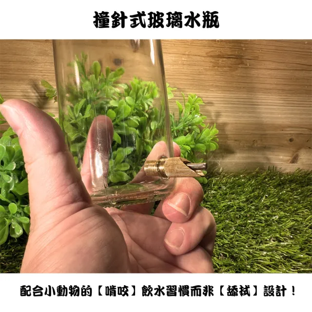 【YOYO 悠悠水族】撞針式玻璃水瓶_大號_二入組(鳥用品、鳥玩具、鸚鵡用品、鸚鵡玩具)