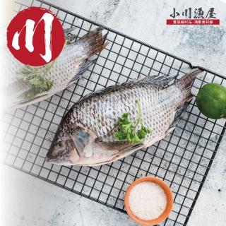 【小川漁屋】臺灣鯛魚9尾(250-300g/尾)