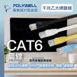 【POLYWELL】CAT6 高速網路傳輸扁線 /0.5M