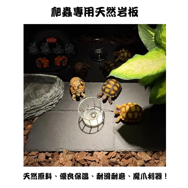 【YOYO 悠悠水族】爬蟲專用天然岩板_大號_二入組(兩棲爬蟲、爬蟲用品、陸龜用品、鸚鵡用品、寵物躲藏)