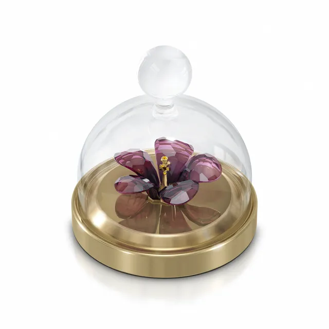 【SWAROVSKI 官方直營】Garden Tales—水晶鐘罩與芙蓉 交換禮物
