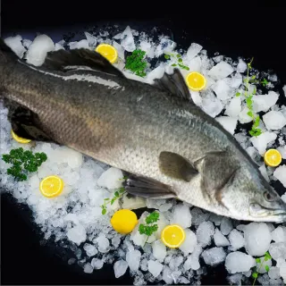 【一手鮮貨】台灣生態養殖金目鱸魚(4尾組/單尾殺清前600g)