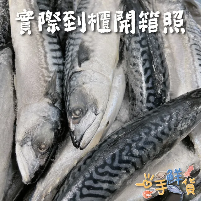 【一手鮮貨】挪威無鹽整尾鯖魚(4尾組/單尾500g-550g)