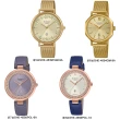 【CASIO 卡西歐】SHEEN  風靡世代施華洛世奇/米蘭/玫瑰金設計經典指針腕錶(多款任選)