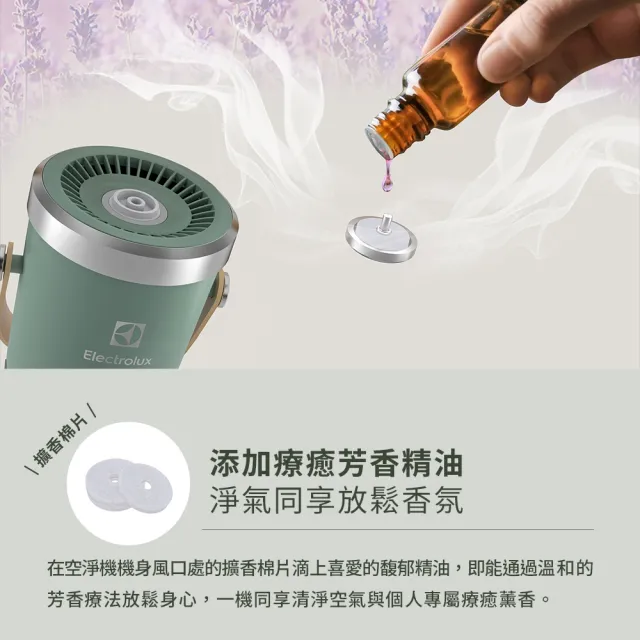 【Electrolux 伊萊克斯】極適家居300系列個人及車用空氣清淨機專用配件組(EFCARU3)