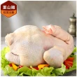 【里山十二食】限量!台灣紅羽土雞_全雞-XL(3000g±10%/隻)
