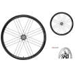 【campagnolo】Shamal Carbon DB(瞎貓碳纖維碟煞輪組 貫通軸)