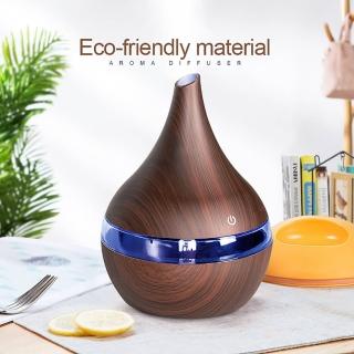 【SKYOCEAN】辦公室 精油香氛機 家車用加濕器 薰香機 水氧機(300ml)
